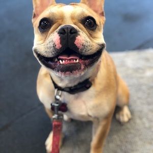 Meet your Posher, Tera